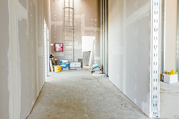 Best Basement Mold Removal  in Columbia, MO