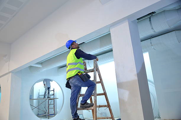 Reliable Columbia, MO Mold Removal Solutions